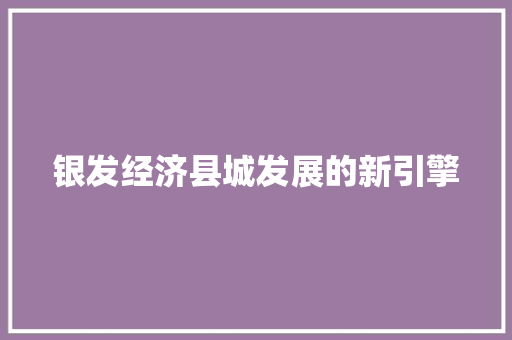 银发经济县城发展的新引擎 银发经济县城发展的新引擎