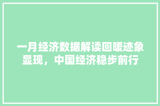 一月经济数据解读回暖迹象显现,中国经济稳步前行 一月经济数据解读回暖迹象显现,中国经济稳步前行