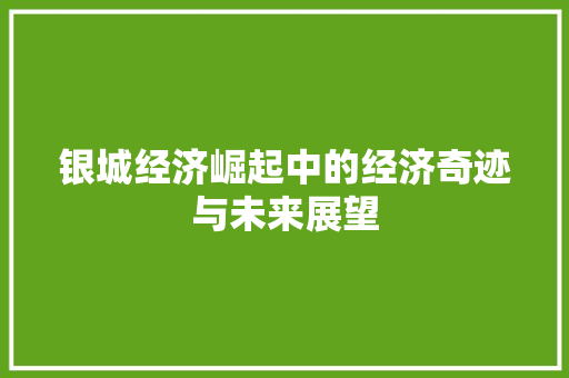 银城经济崛起中的经济奇迹与未来展望 银城经济崛起中的经济奇迹与未来展望