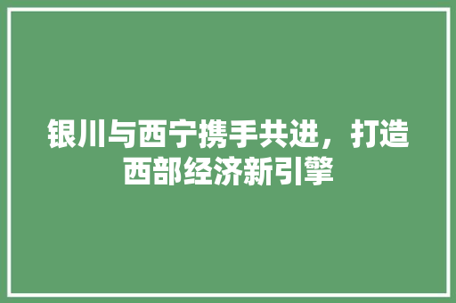 银川与西宁携手共进,打造西部经济新引擎 银川与西宁携手共进,打造西部经济新引擎
