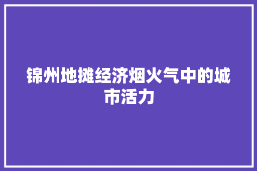 锦州地摊经济烟火气中的城市活力 锦州地摊经济烟火气中的城市活力
