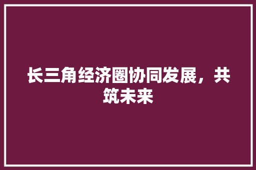 长三角经济圈协同发展,共筑未来 长三角经济圈协同发展,共筑未来
