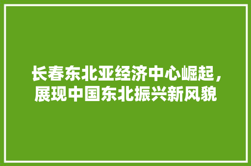 长春东北亚经济中心崛起,展现中国东北振兴新风貌 长春东北亚经济中心崛起,展现中国东北振兴新风貌