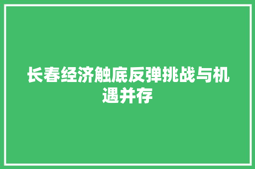长春经济触底反弹挑战与机遇并存 长春经济触底反弹挑战与机遇并存