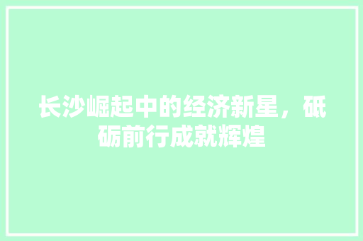 长沙崛起中的经济新星,砥砺前行成就辉煌 长沙崛起中的经济新星,砥砺前行成就辉煌