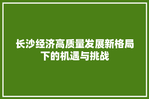 长沙经济高质量发展新格局下的机遇与挑战