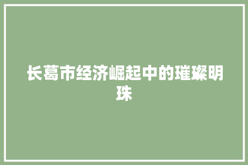 长葛市经济崛起中的璀璨明珠 长葛市经济崛起中的璀璨明珠