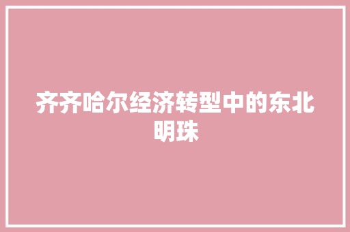 齐齐哈尔经济转型中的东北明珠 齐齐哈尔经济转型中的东北明珠
