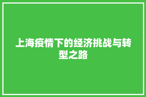 上海疫情下的经济挑战与转型之路 上海疫情下的经济挑战与转型之路