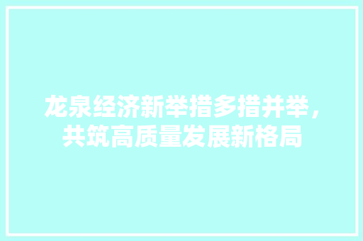 龙泉经济新举措多措并举,共筑高质量发展新格局 龙泉经济新举措多措并举,共筑高质量发展新格局