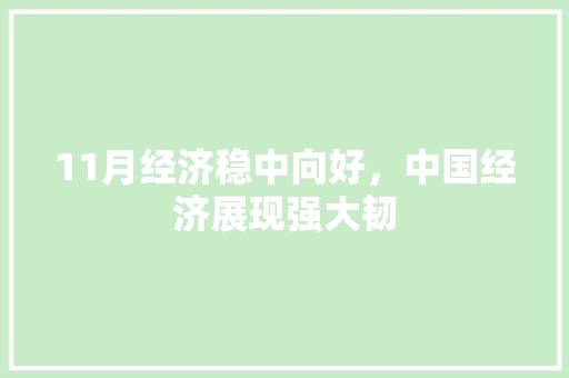 11月经济稳中向好,中国经济展现强大韧 11月经济稳中向好,中国经济展现强大韧