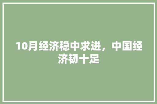 10月经济稳中求进,中国经济韧十足 10月经济稳中求进,中国经济韧十足
