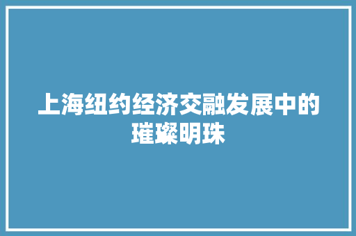 上海纽约经济交融发展中的璀璨明珠 上海纽约经济交融发展中的璀璨明珠