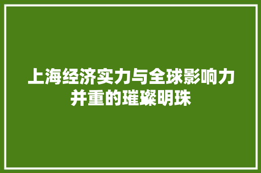 上海经济实力与全球影响力并重的璀璨明珠