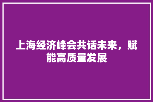上海经济峰会共话未来,赋能高质量发展 上海经济峰会共话未来,赋能高质量发展