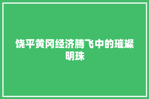饶平黄冈经济腾飞中的璀璨明珠 饶平黄冈经济腾飞中的璀璨明珠