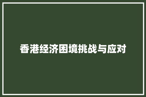 香港经济困境挑战与应对 香港经济困境挑战与应对