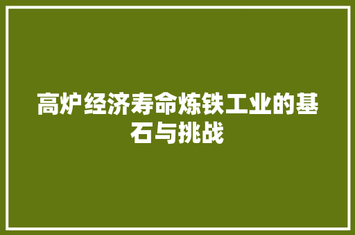 高炉经济寿命炼铁工业的基石与挑战 高炉经济寿命炼铁工业的基石与挑战