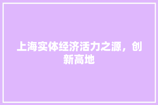 上海实体经济活力之源，创新高地