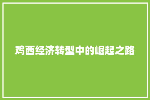 鸡西经济转型中的崛起之路 鸡西经济转型中的崛起之路