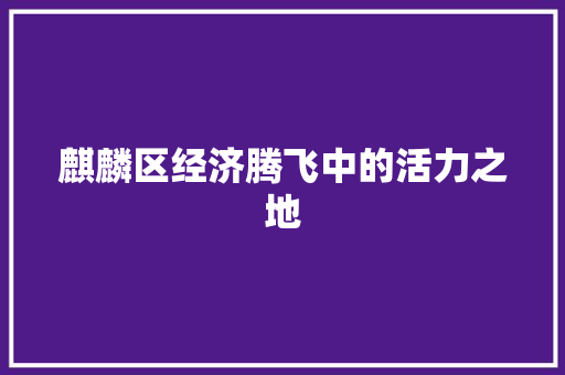 麒麟区经济腾飞中的活力之地 麒麟区经济腾飞中的活力之地
