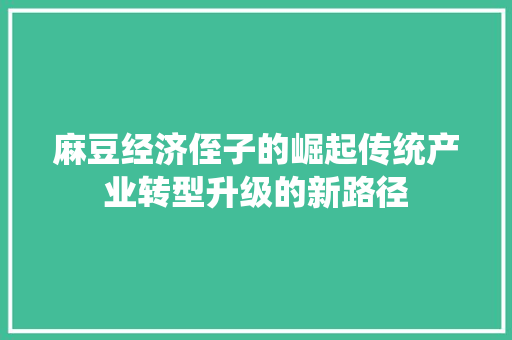 麻豆经济侄子的崛起传统产业转型升级的新路径 麻豆经济侄子的崛起传统产业转型升级的新路径