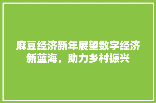 麻豆经济新年展望数字经济新蓝海,助力乡村振兴 麻豆经济新年展望数字经济新蓝海,助力乡村振兴