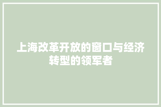 上海改革开放的窗口与经济转型的领军者 上海改革开放的窗口与经济转型的领军者