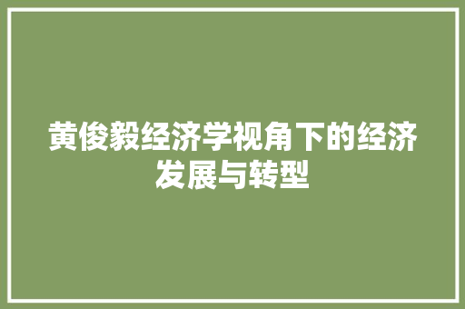 黄俊毅经济学视角下的经济发展与转型 黄俊毅经济学视角下的经济发展与转型
