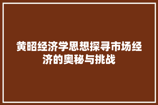 黄昭经济学思想探寻市场经济的奥秘与挑战