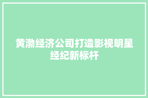 黄渤经济公司打造影视明星经纪新标杆