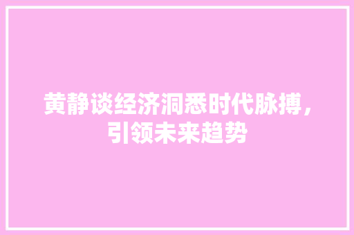 黄静谈经济洞悉时代脉搏,引领未来趋势 黄静谈经济洞悉时代脉搏,引领未来趋势