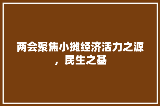 两会聚焦小摊经济活力之源,民生之基 两会聚焦小摊经济活力之源,民生之基