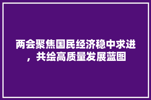 两会聚焦国民经济稳中求进,共绘高质量发展蓝图 两会聚焦国民经济稳中求进,共绘高质量发展蓝图