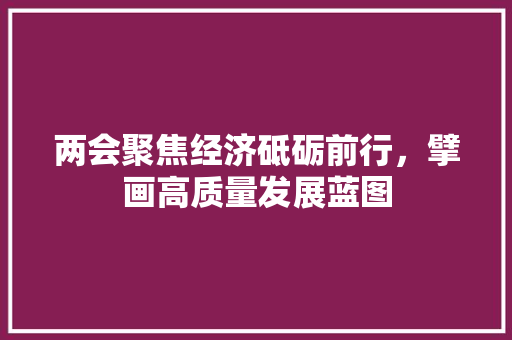 两会聚焦经济砥砺前行,擘画高质量发展蓝图 两会聚焦经济砥砺前行,擘画高质量发展蓝图