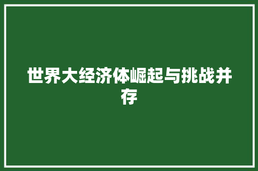 世界大经济体崛起与挑战并存 世界大经济体崛起与挑战并存