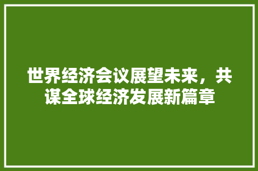世界经济会议展望未来,共谋全球经济发展新篇章 世界经济会议展望未来,共谋全球经济发展新篇章
