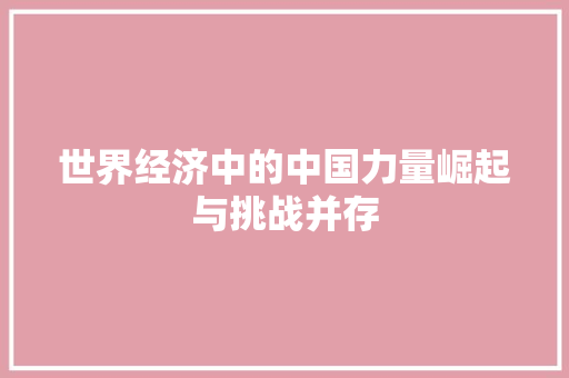 世界经济中的中国力量崛起与挑战并存 世界经济中的中国力量崛起与挑战并存