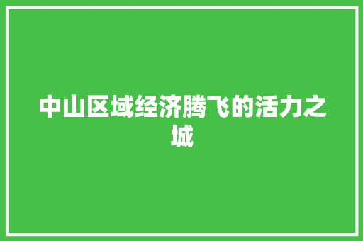中山区域经济腾飞的活力之城 中山区域经济腾飞的活力之城
