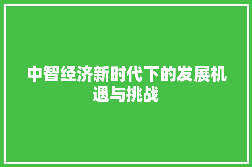 中智经济新时代下的发展机遇与挑战 中智经济新时代下的发展机遇与挑战
