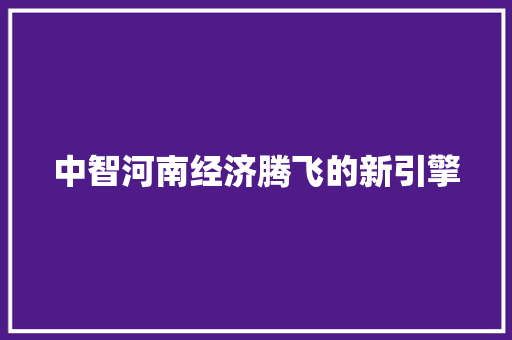 中智河南经济腾飞的新引擎 中智河南经济腾飞的新引擎