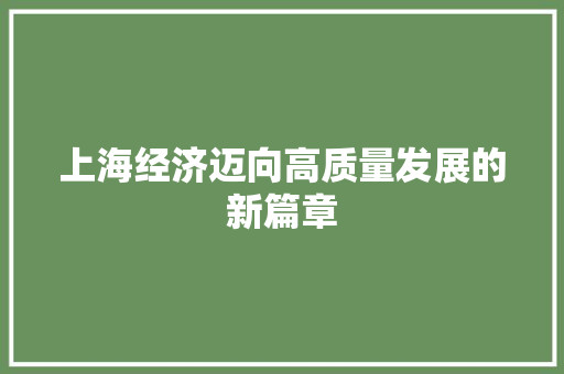 上海经济迈向高质量发展的新篇章 上海经济迈向高质量发展的新篇章