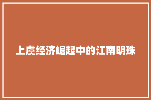 上虞经济崛起中的江南明珠 上虞经济崛起中的江南明珠