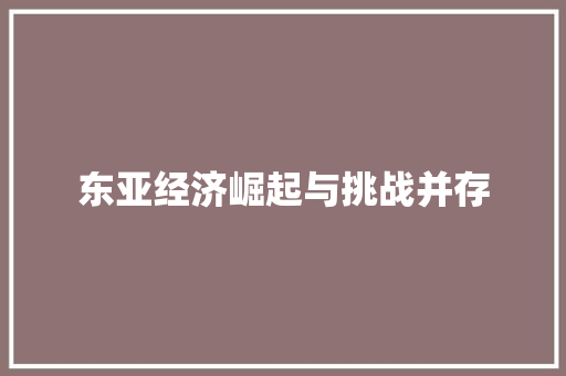 东亚经济崛起与挑战并存 东亚经济崛起与挑战并存