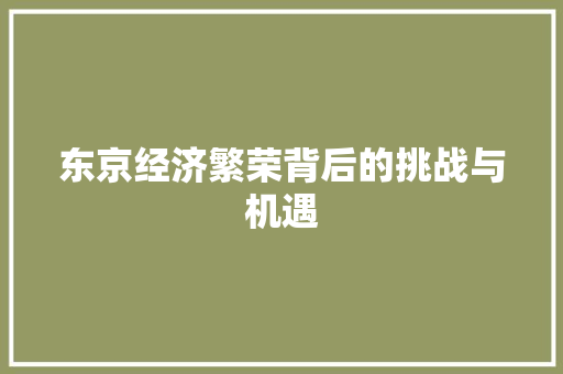 东京经济繁荣背后的挑战与机遇 东京经济繁荣背后的挑战与机遇