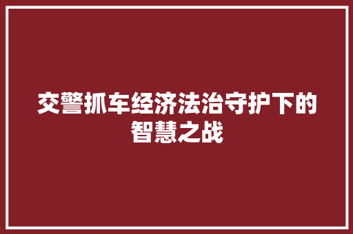 交警抓车经济法治守护下的智慧之战 交警抓车经济法治守护下的智慧之战