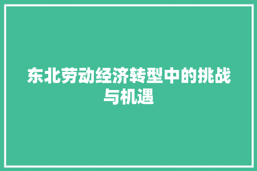 东北劳动经济转型中的挑战与机遇 东北劳动经济转型中的挑战与机遇