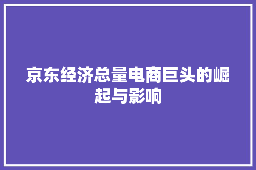 京东经济总量电商巨头的崛起与影响 京东经济总量电商巨头的崛起与影响