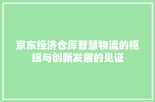 京东经济仓库智慧物流的枢纽与创新发展的见证 京东经济仓库智慧物流的枢纽与创新发展的见证