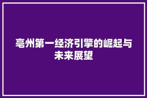 亳州第一经济引擎的崛起与未来展望 亳州第一经济引擎的崛起与未来展望